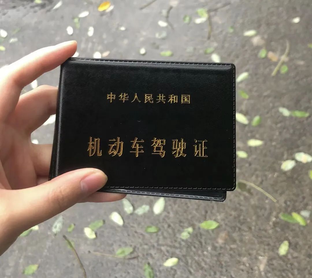 IMG_8971.jpg 图片
